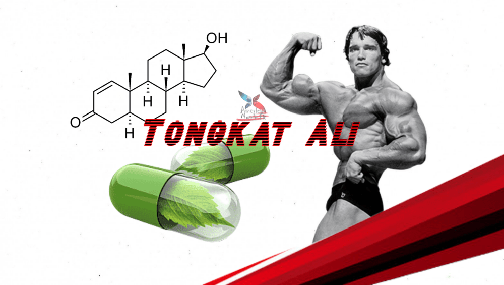 Tongkat Ali para testosterona